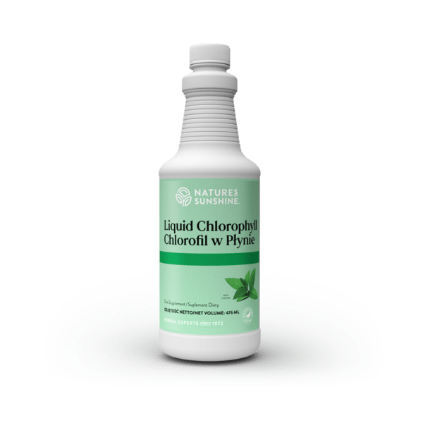 Chlorofil w Płynie (475,6 ml) Nature's Sunshine NSP